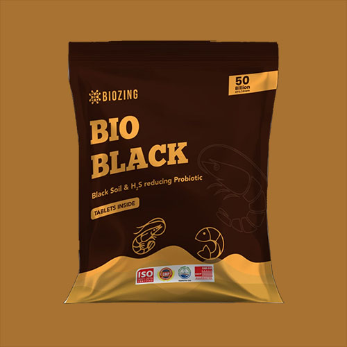 Bio Black – Eliminates Hydrogen Sulfide and Black Soil